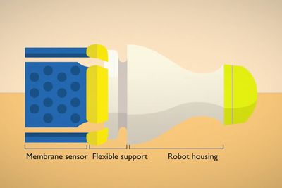 Gjennom et ni år langt forskningsprosjekt har en gruppe ved MIT laget en robot som sendes gjennom rør og oppdager lekkasjer.
