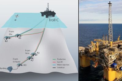 Byrding er et olje- og gassfelt nord for Troll-feltet i Nordsjøen, knyttet opp mot Trolls infrastruktur. Utvinnbare volumer er anslått til drøyt 11 millioner fat oljeekvivalenter.