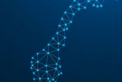 Fiber Norge har etablert en fiberbørs som knytter alle de lokale fibernettene sammen, slik at en bedriftskunde slipper å forhandle om aksesser med et utall lokale aktører for å sikre dekning over hele landet.