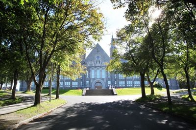 Gløshaugen: – Alle studier med mindre enn 40 prosent av ett kjønn skal gjennomføre tiltak for å bedre balansen, sier NTNU-rektor Gunnar Bovim. Foto: Stein Jarle Olsen