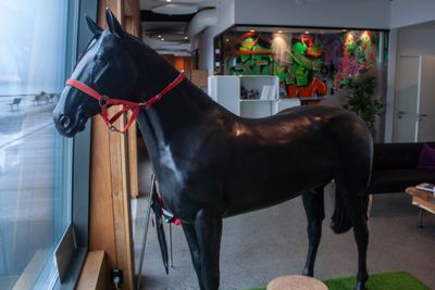 Hest er best synes å være slagordet på gründerhuset i Stavanger.