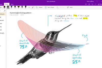 Microsoft OneNote for Windows 10 og flere andre plattformer har nylig blitt redesignet, slik at de skal være mer like hverandre.