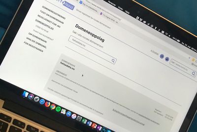 Domenet helsedata.no er registrert av en privatperson. Dermed kan ikke Norid gi ut opplysninger om abonnenten til domenet lenger.