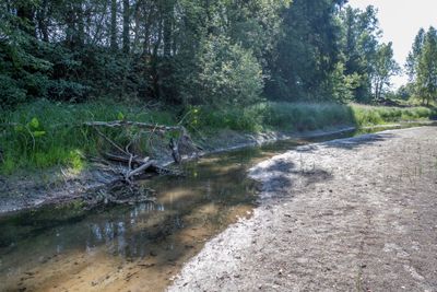 Det er lite vann i Loeselva som går mellom Hokksund og Steinberg i Buskerud etter sommerens mangel på nedbør, i likhet med mange småelver på Østlandet.