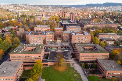 Universitetet i Oslo sett fra sørsiden av området. Ifølge Norsk studentorganisasjon står færre studenter i boligkø nå enn på samme tid i fjor.