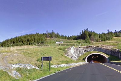 Tunnelene på E39 skal oppgraderes, men Statens vegvesen dropper å stenge dem hele døgnet etter ekstern risikoanalyse og protester fra lokalmiljøet. 