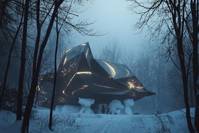 «A House to Die In» skulle være et samarbeidsprosjekt mellom kunstneren Bjarne Melgaard, arkitektkontoret Snøhetta og enteprenørene Olav og Fredrik Selvaag. 