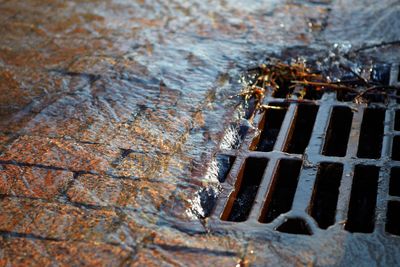 Rister som dette tar unna regnvannet, også kjent som overvann, langs gater, veier og parker. Men visste du hva som skjer med vannet rett under kummen? 