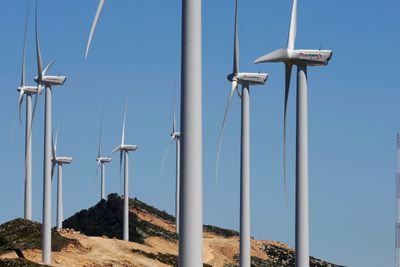 Denne vindmølleparken i Marokko er levert av et  saudiarabisk selskap. Økt nordisk samarbeid kan gi norsk fornybarindustri større konkurransekraft globalt, mener TUs bidragsyter.