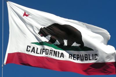 The great bear on the California flag.