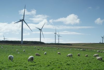 Statkraft kjøper opp vindkraft i Irland og Storbritannia. Selskapet planlegger omfattende investeringer i vind og sol de neste sju årene. Bildet er fra Baillie vindmøllepark i Skottland som Statkraft eier 40 prosent av.