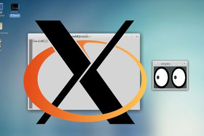 X.org har levert vindussystemet til mange Linux- og BSD-systemer.