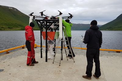 Her tester Ecofang dronen som skal brukes til kråkebollehøsting. Dronen har et system som gjør at den kan kobles presist på ROVen selv om den lander litt skjevt, ifølge gründer Jens Kristian Henriksen. Foto: Ecofang.