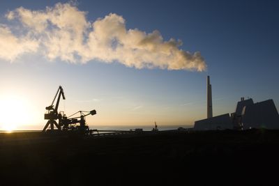 Avedøreværket utenfor København gikk over fra kull til fyring med halm og trepellets i 2011, etter press fra det danske Natur- og Miljøklagenævnet. Avedøreværket er Danmarks største kraftverk.