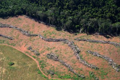 Et område med ulovlig hogst i delstaten Pará i Brasil. Bildet ble offentliggjort av brasilianske myndigheter i 2014.