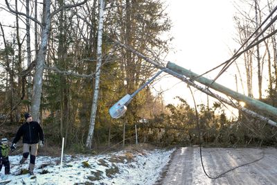 Stormen Dagmar gjorde store skader på strøm- og telenettet i 2011. Skadene av slike stormer vil være vanskelige å forebygge, selv med bedre vedlikeholdsdata. Bildet er fra Alnön utenfor Sundsvall. 