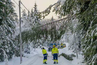 Mye snø har gjort 2018 til et kostbart år for Eidsiva Nett. Bare i januar hadde de forsyningsproblemer tilsvarende 30 millioner kroner. Nå håper de at knusing av kart- og vedlikeholdsdata kan hjelpe dem å forebygge linjebrudd på grunn av trepåfall. 