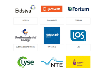 Norge har 124 nettselskaper og 113 strømselskaper. Mange av dem har samme navn og logo. Det forvirrer kundene, ifølge NVE.