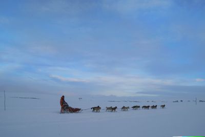 Illustrasjonsbilde fra Finnmarksløpet.