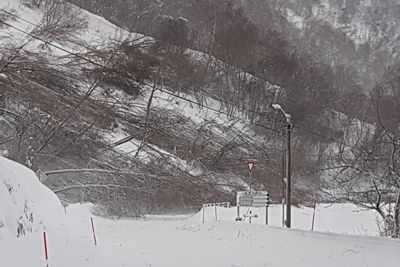 Så langt i 2019 har det gått 25 snøskred på veinettet i Norge. Her gikk et snøskred over fylkesvei 63 i Geiranger i januar. Hovedredningssentralen i Sør-Norge meldte først at en eller to biler kunne være tatt av skredet, men undersøkelser viste at ingen ble tatt