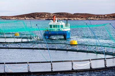 Ekstraskatt for oppdrettsnæringen blir diskutert i en rekke partier denne våren, men kan bli stanset på landsmøtene. Bildet er tatt ved et oppdrettsanlegg i Frohavet på Trøndelagskysten.