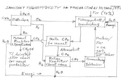 Ved å ta ut CO2 fra vannet, behandle gassen og kjøre den gjennom en fermenteringsmaskin kan den bli til fôr igjen, ifølge patentsøknaden.