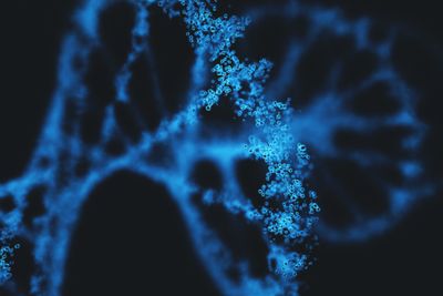 Deoxyribonucleic acid (DNA), molecule that carries the genetic instructions of the development, functioning and reproduction of all living organisms and virus.