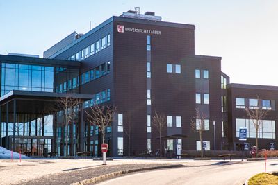 På Universitetet i Agder i Grimstad satser de stort på kunstig intelligens. 