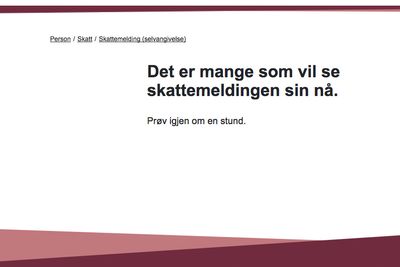 Kort tid etter at skattemeldingen ble gjort tilgjengelig, var det så stor pågang på skatteetaten sin nettside at man ikke fikk logget seg inn. 