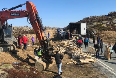 11. april - elleve dager etter at byggingen skulle ha begynt - stanset Frøya kommunestyre byggingen av den planlagte vindparken i regi av Trønderenergi og Stadtwerke München. Nå risikerer kommunen å bli erstatningspliktige.