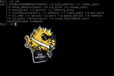 Qualys har gitt den gjeninnførte OpenSSH-sårbarheten både et navn og en logo.