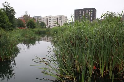 Miljø- og samferdselsbyråd Lan Marie Berg vil åpne flere vassdrag i Oslo i tiden som kommer. Her ved Hovinbekken.