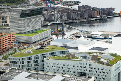 Utbyggingen på Bjørvika i Oslo er i stor grad dekket av grønne tak.