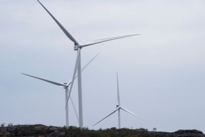 Den nytilsatte generalsekretæren Rune Haaland i organisasjonen Motvind skal lede arbeidet med motstanden mot vindkraftutbygging i Norge.