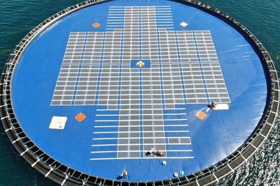 Ocean Sun har testet flere større flytende solcelleanlegg utenfor Bergen. De har også et testanlegg med 48 moduler liggende på Filippinene.