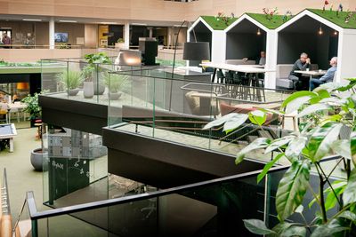 I IBMs nye kontorlokale i Oslo har de bygget en innedørs hage der ansatte kan ha møter, men også samles i sosiale sammenhenger.