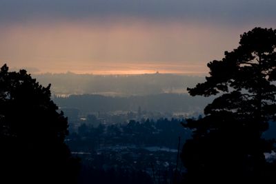 Oversiktsbilde tatt fra Holmenkollen fredag formiddag. Kaldt vær og forurensing fører til at luft presses ned i skoddehavet over Oslo.