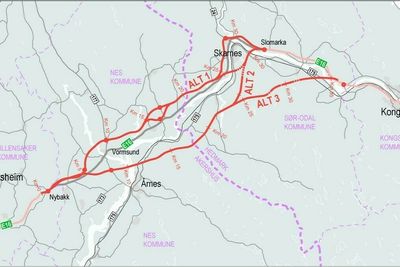 Kartet viser området hvor det skal lages kommunedelplan for ny E16 fra E6 og til Kongsvinger. De røde strekene er ulike tenkte alternativ som Nye Veier fremmet i en tidlig utredningsfase.