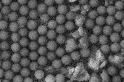 Disse ørsmå kulene - bildet er tatt med elektronmikroskop - brukes nå til å produsere test-sett for koronaviruset.