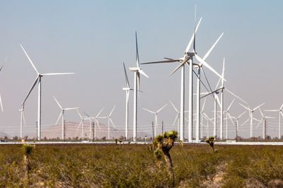 Vindkraft var fredag en større kilde til elektrisitet i USA enn vannkraft, ifølge tall fra IEA, og utgjør nå 10 prosent av den totale strømproduksjonen. Bildet er fra en vindpark i Mojave-ørkenen i California.