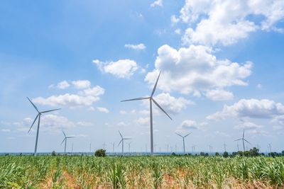 Wind turbine renewable energy source summer with blue sky.