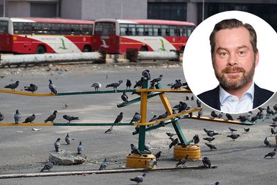 Fugler på en forlatt bussterminal i tech-storbyen Bangalore, fotografert i mai 2020. Indere flest jobber stadig hjemmefra. Tom Krohn (innfelt) er overrasket over funn i en kartlegging av hvordan nedstengningen har påvirket IT-leveransene til Norge.