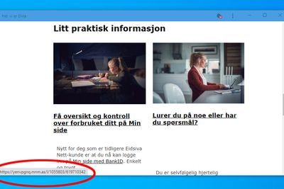Nyhetsbrevet fra Elvia har lenker til helt ukjente adresser og framstår derfor som et phishingangrep. Brukerne oppmuntres også til å logge seg inn på «Min side» via e-posten, noe som også er typisk for phishingangrep.
