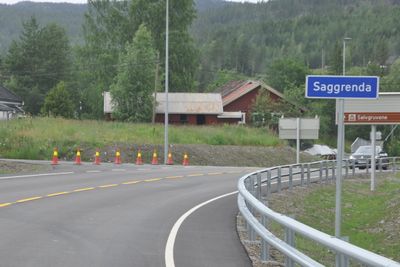 Her kommer omkjøringsvegen mellom ny og gammel E134 ved Saggrenda.