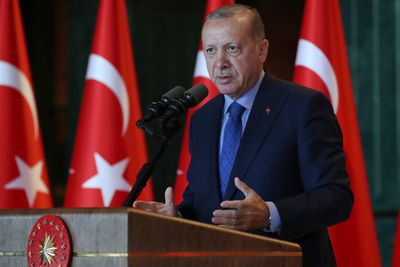 Tyrkias president Recep Tayyip Erdogan har ønsket seg strengere kontroll med sosiale medier. Nå har nasjonalforsamlingen vedtatt en lov som menneskerettsaktivister mener truer ytringsfriheten.