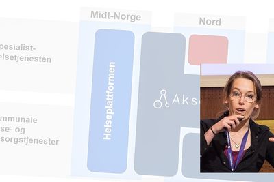 Helsedirektør Bent Høie og direktør for e-helse-direktoratet Christine Bergland svarer ikke på kritikken mot Akson, mener Gorman. 