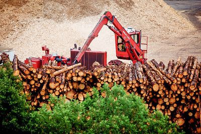 Elkem Biocarbon: Skogen er den nye kilden til reduksjonsmidler for Elkems produksjon av silisium og ferrosilisium.
