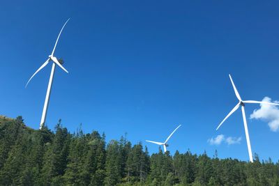 BKK har planer om to vindkraftutbygginger. Etter mye støy i sommer og høst, legges planene på is inntil videre. Illustrasjonsbilde fra Skomakerfjellet Vindpark i Roan.