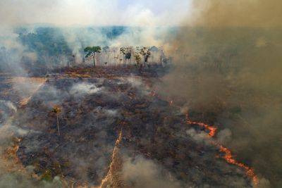 Avskoging og tap av leveområder er blant de største driverne for den pågående naturkrisen i verden. Bildet viser en av de flere tusen brannene som er registrert i Amazonas de siste årene. Amazonas har nå mistet rundt 17 prosent av sitt opprinnelig område, og miljøvernere frykter regnskogen vil nå et vippepunkt i løpet av de neste 15–30 årene hvor den ikke klarer å generere nok regn til å bestå. 