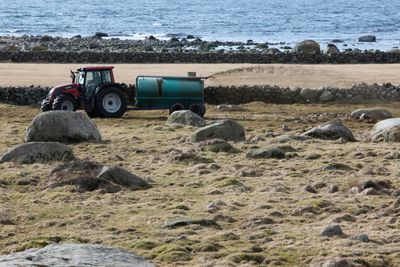 Rockwool skal bruke lokalprodusert biogass fra landbruket til å smelte stein til steinull. Bildet er fra Jæren. Rogaland har hatt som mål at 60 prosent av alt husdyrgjødsel skal innom et biogassanlegg før det spres. 